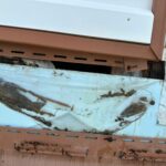 water damage restoration